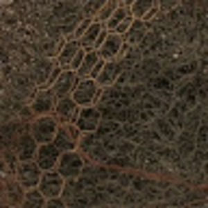 Meet your Posher, Todd